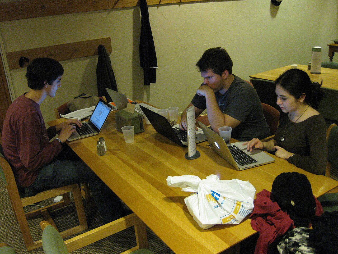 Study Group Meets to Revise Public Website Guidelines